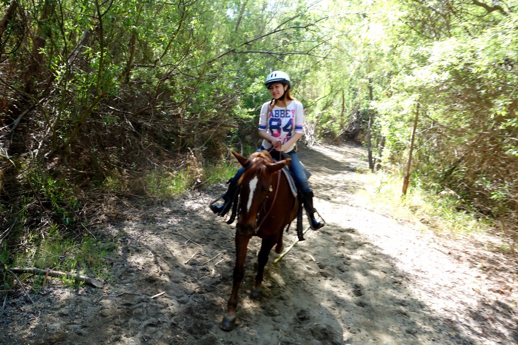 Horse back riding